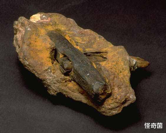 科学家|科学史上四大谎言，全部是假的，却还有人深信不疑