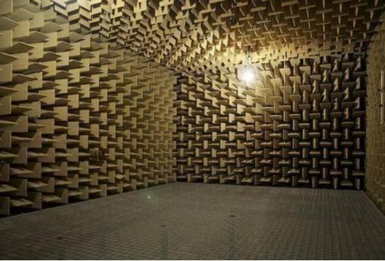 |地球最安静“消音室”，呆超过45分钟，奖一万元，但至今无人完成