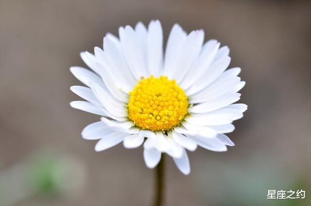 |在9月上旬，误会解除，破冰和好，牵手幸福的三大星座