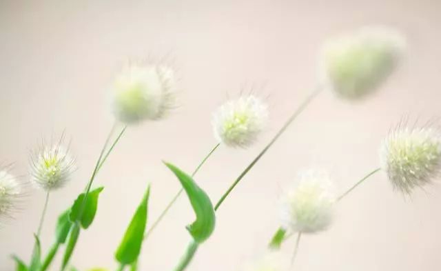 ##前脚悬崖,后脚深渊:兔人,3月30日即将进退两难好尴尬