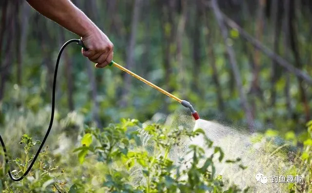 玉米▲水清鱼难钓——自然水域水清你该这样做