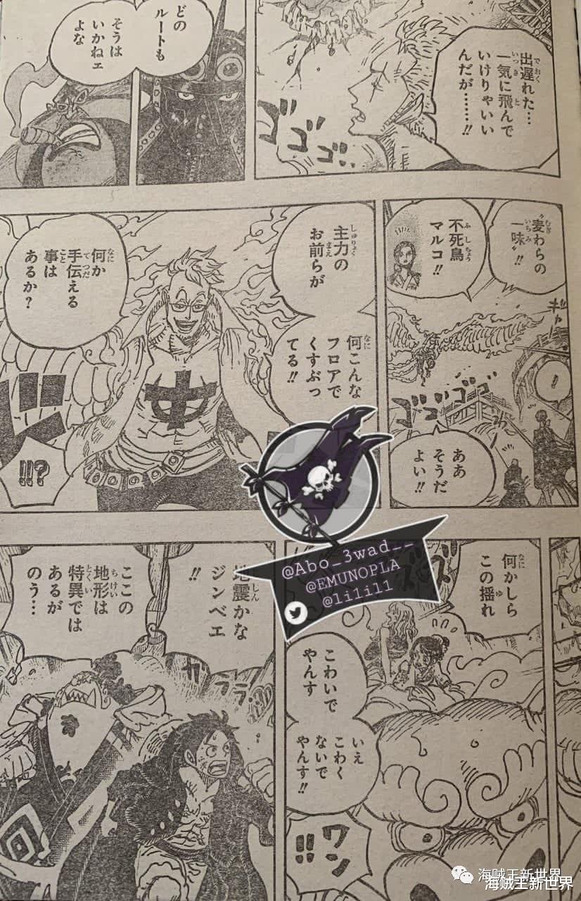 索隆|海贼王997话第二次情报更新|山治躲不过女色陷阱，索隆震怒秒阿普！