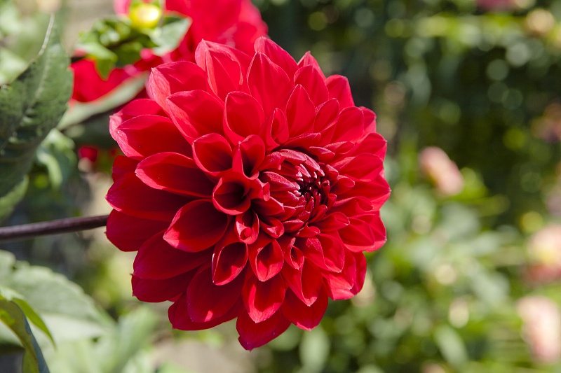 『』5月6日开始,4属相时来运转,霉运烟消云散,财运高升,富贵盈门