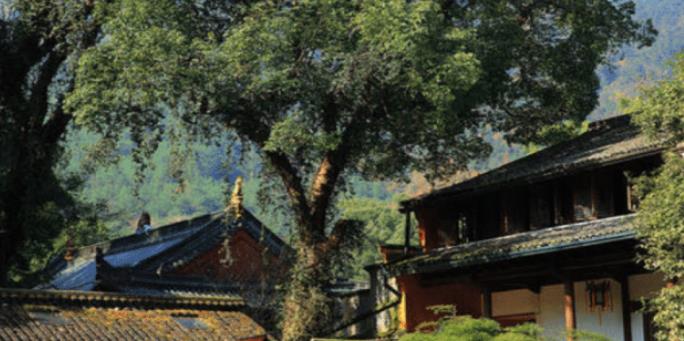 [物价]我国一个零差评的5a级景区，物价超低，吃饭2元住宿25元