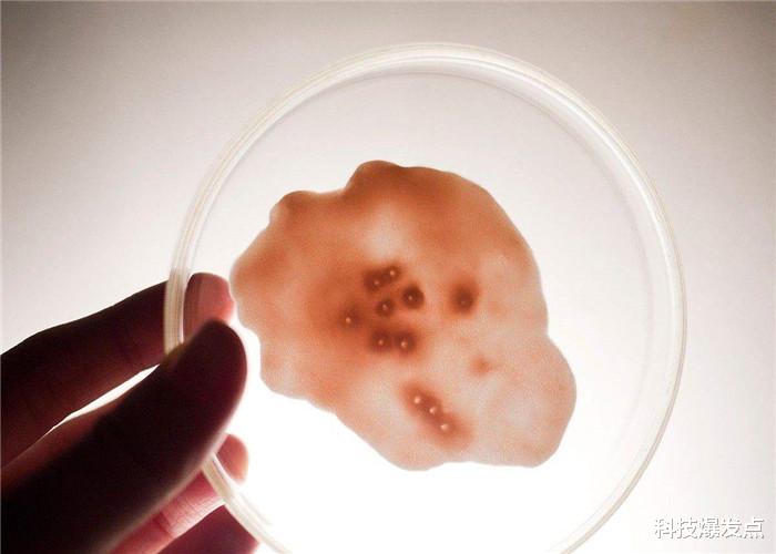 科学家■21亿年前，如果这种生物没有灭绝，人类发展可能会提前15亿年！