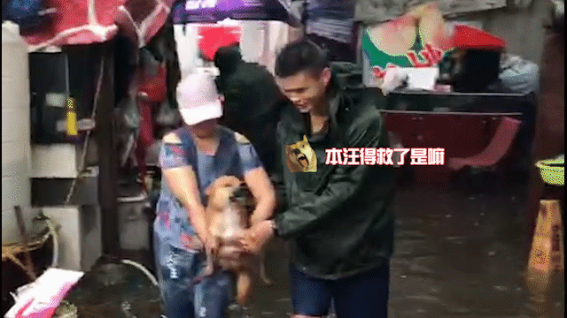 监利@暴雨淹锡城！莫慌，“蓝朋友”为你“乘风破浪”！