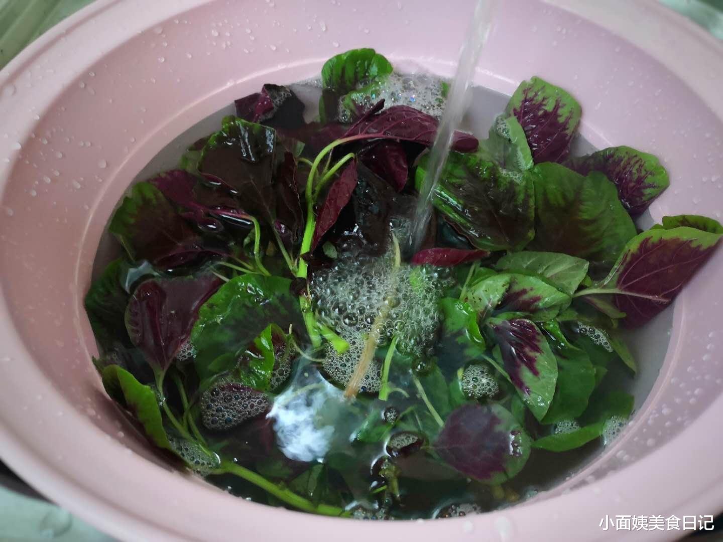 苋菜|这菜可真是“一宝”，夏天吃最好，补血养血，女人老人吃最好！