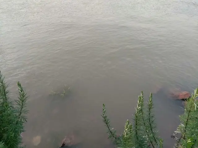 工地|52岁农民工回到农村老家，天天钓鱼，说外面工资再高也不想做了