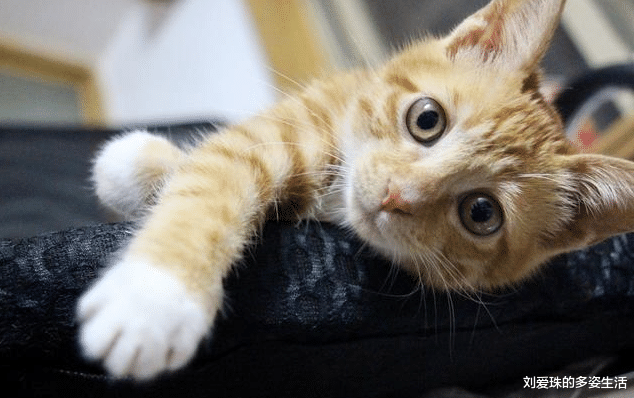 「离职」如果你想辞职,千万想明白这3点,否则你会越混越差!