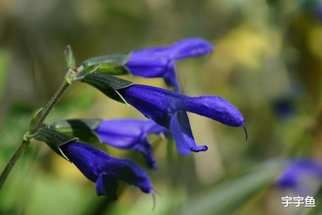 生肖|9月中下旬财运亨通，横财不断，5天内喜事接二连三的3大生肖