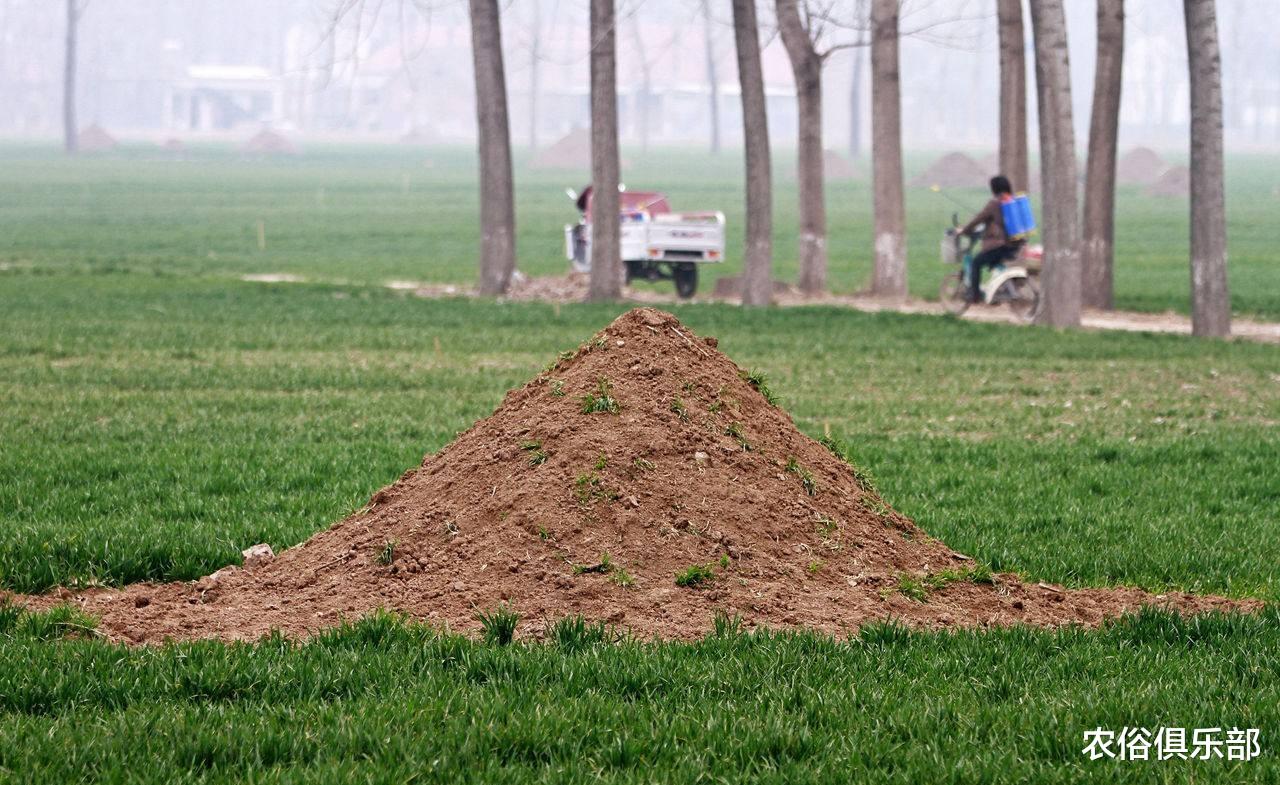 农俗俱乐部|不同意征收祖坟被刨坟一半?事后解释:来除草不熟悉路段误平坟