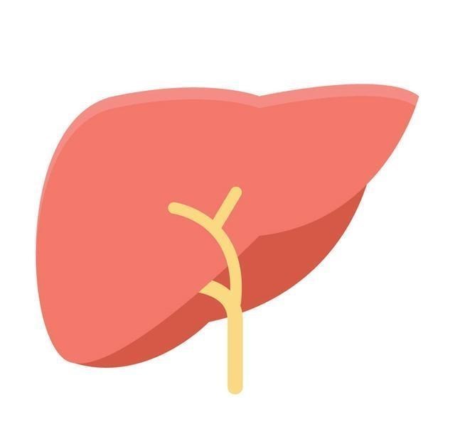 【防腐剂】肝脏健不健康，全体现在这4件事上，吃饭二不能，睡觉二不可