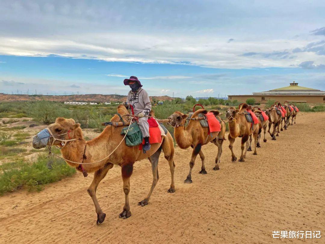 宁夏|宁夏与内蒙交界有条大峡谷,悬崖上发现藏兵洞,有陷阱弹药和粮仓