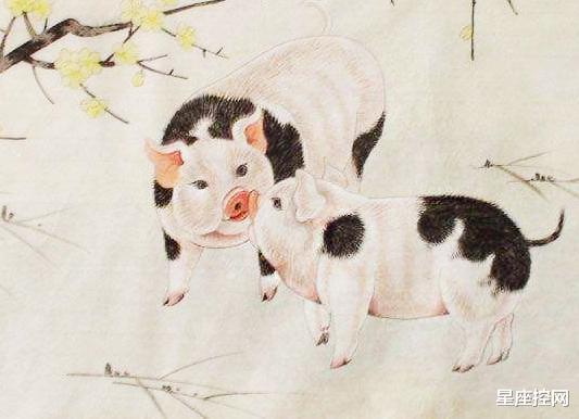 生肖|8月出低谷，9月上巅峰的4生肖，一天天富起来，今年不再走下坡