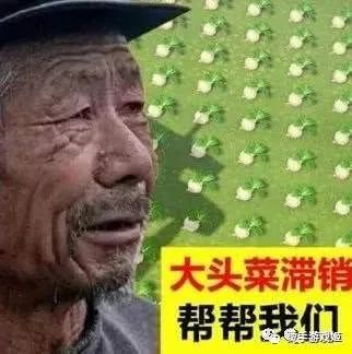 ▲动森游玩一个月总结！肝到怀疑人生！