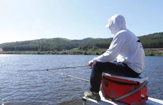 『』【钓鱼技巧】选钓点，为什么要选择顶风处？看高手怎么说