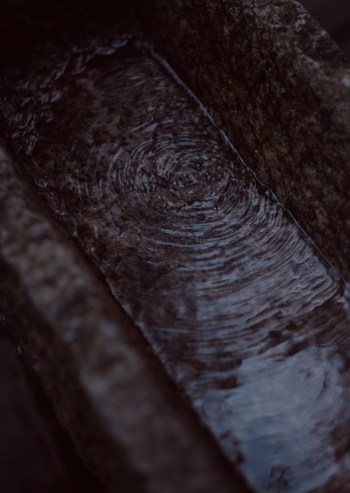 三清山|江西上饶玉山县三清山，这里的一草一木都充满仙气