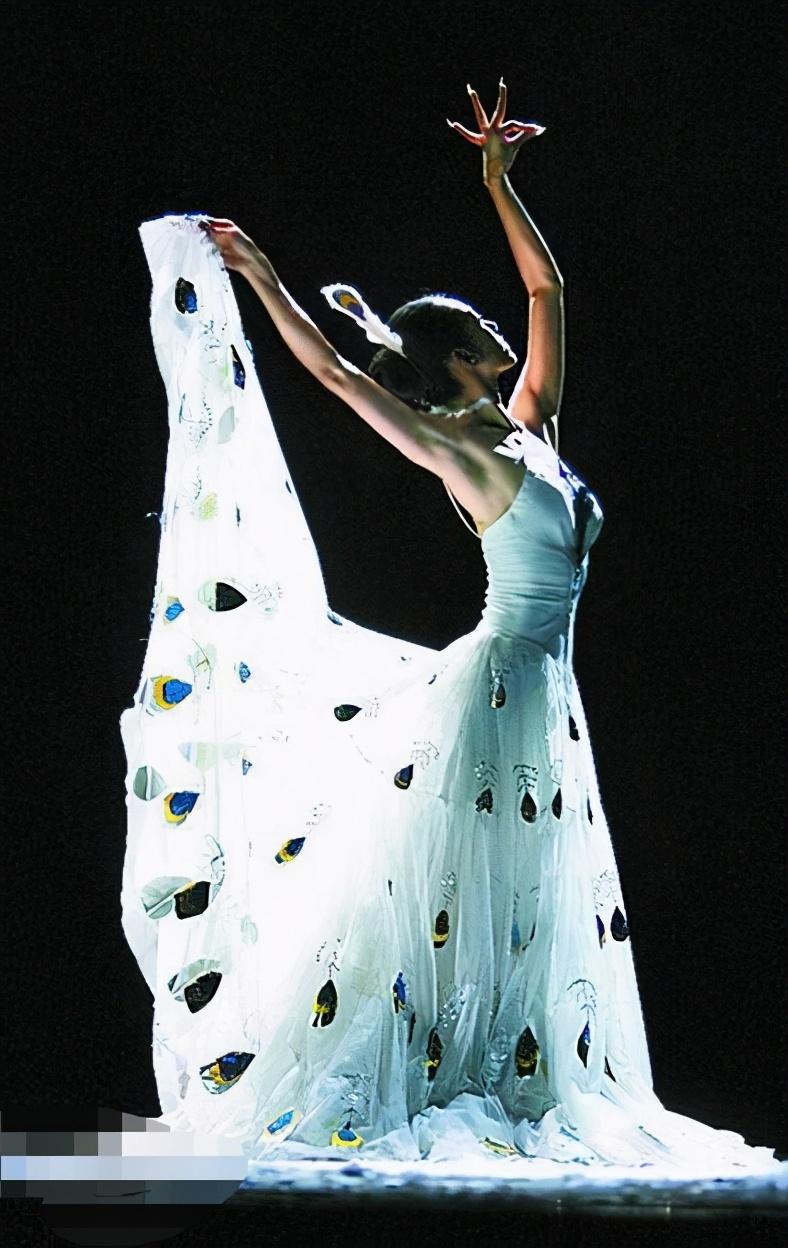 杨丽萍|杨丽萍3000万“月亮宫”被查，外表光鲜亮丽，里面太“肮脏”