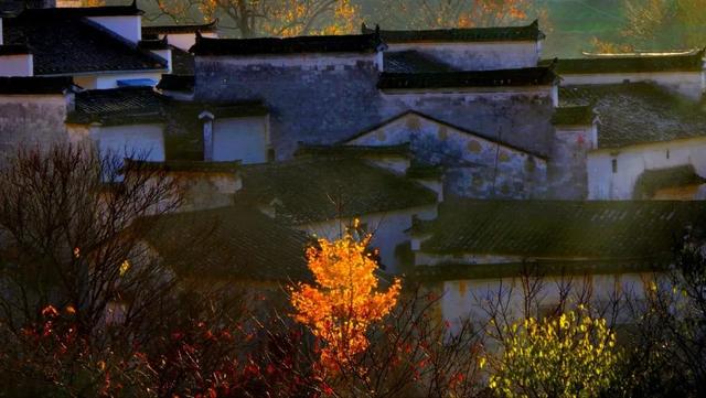 香山|秋色不输婺源，颜值美过香山，这座小村庄一到秋天就美成仙境