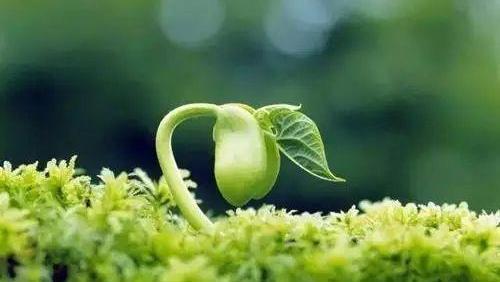 「处女座」星座感情情报大爆料:和这几个星座分手,最让你后悔