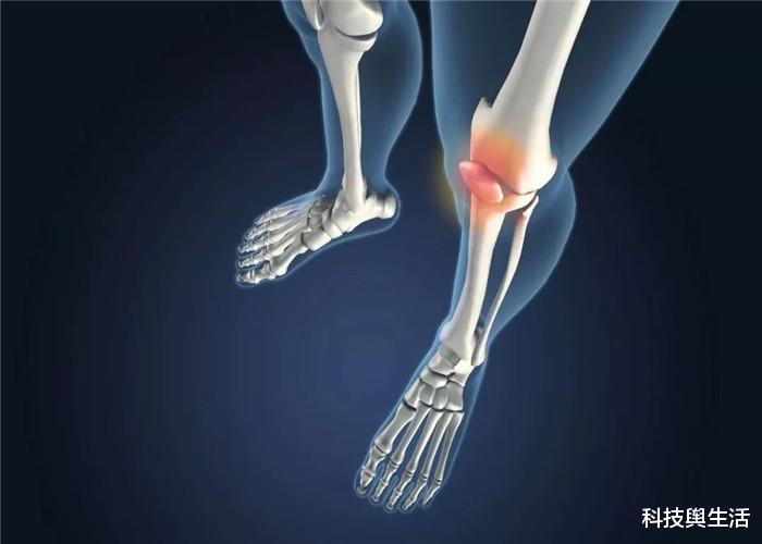 ##人体中消失已久的一大器官，如今再次出现，究竟是好是坏？