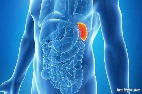 肠胃▲为什么有的人怎么吃都不胖？可能和几方面原因有关，别都当好事看