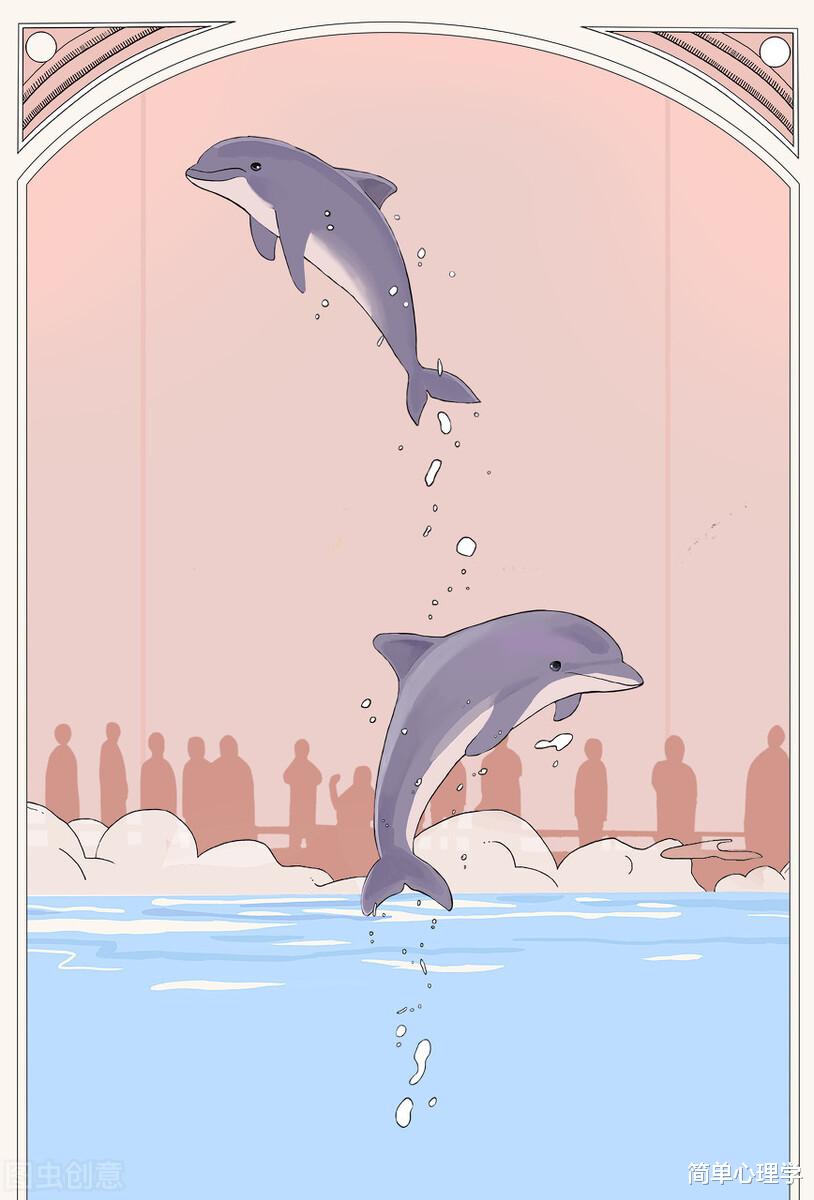 心理測試：4張海豚照片，你最喜歡哪張？測你的感情觀-圖5