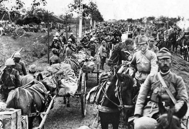 【】二战时曾训练过一动物,咬死无数人,如今中国遍地都是