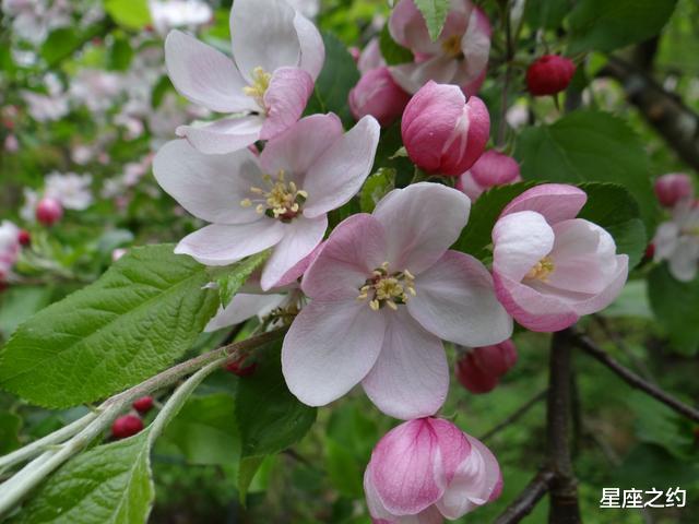 「」在7月下旬，好运驾到，信心十足，未来可期的三大星座