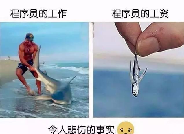 『程序员』据说这是只有程序员才能看懂的图片，容我先笑一会儿