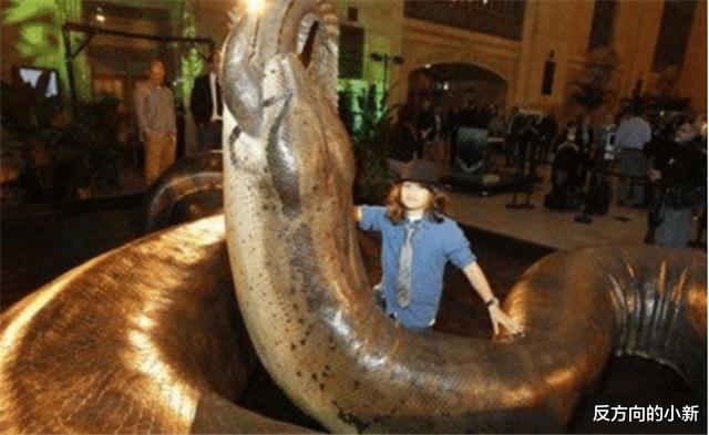 科学家▲二战飞行员曾在高空拍到一头16米巨蟒，吃啥长大的？