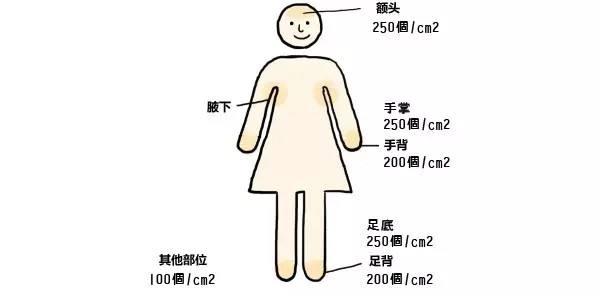 哺乳动物|人类为什么没有一副好皮毛?不能全怪择偶观,和进化也有关