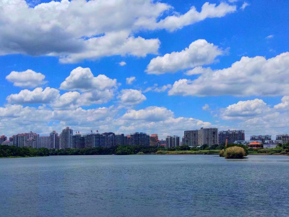 『万泉河』这条河是海南岛第三大河,生态环境优美,被誉为中国的亚马逊河