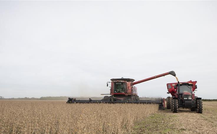 阿根廷▲80%大豆出口中国后，阿根廷欲对我国产品收费，中国已转向巴西