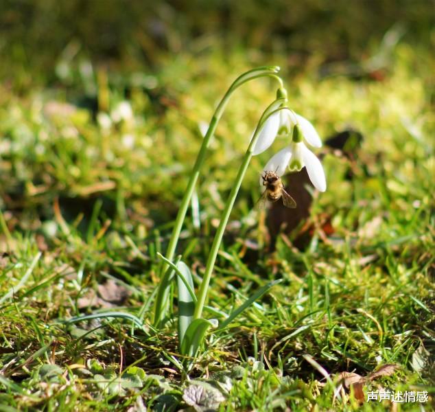 「生肖」7月末，佳偶天成，有望路遇真爱的4大生肖：浪漫情缘，鸾凤和鸣