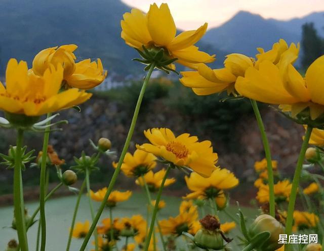 |哪些日子出生的人，朝气蓬勃，事业上励精图治，蒸蒸日上