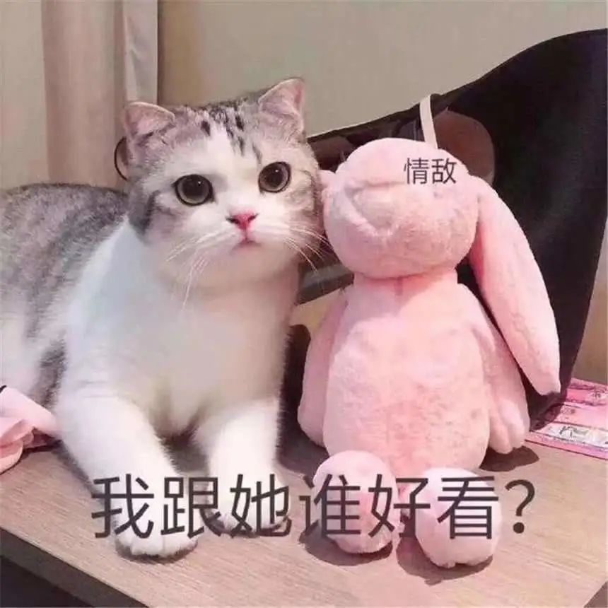 央视|被霸道总裁牵手,她最近人红是非多啊