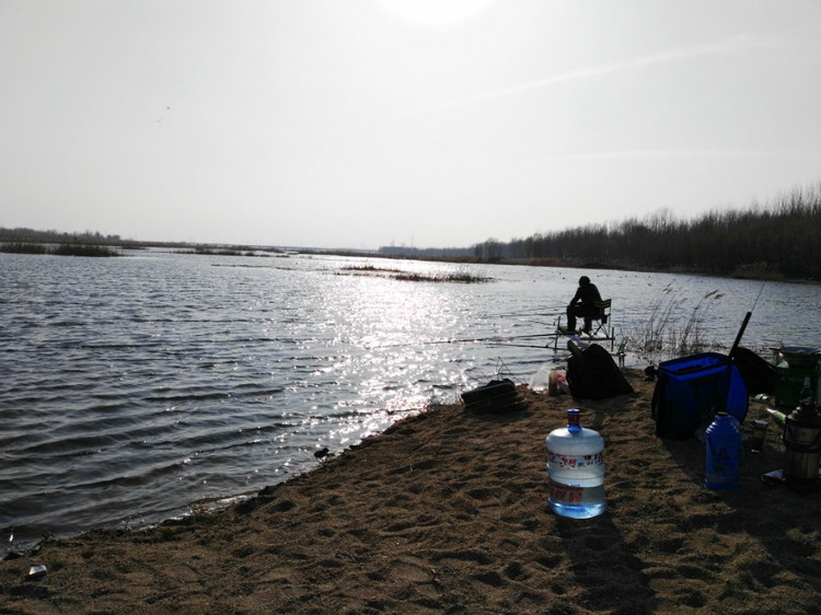 鲤鱼|弄明白这几句话，野钓找鱼窝，简直易如反掌