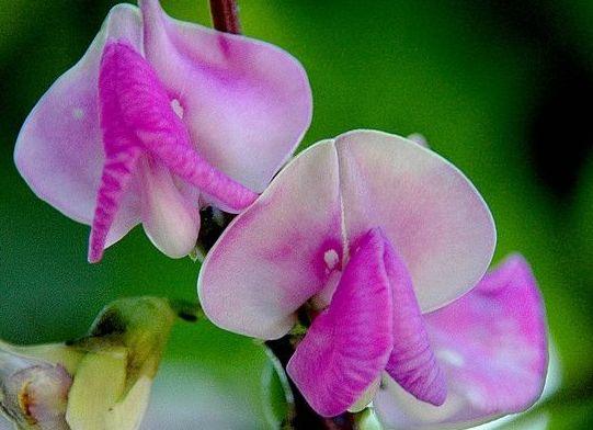 |9月上旬,横财降临,4属相事业运转旺,日子红火有财,一帆风顺