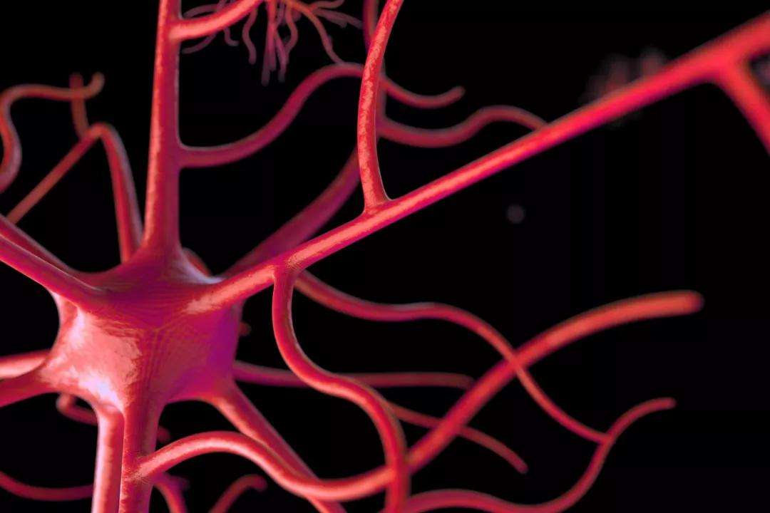 睡眠质量|雄性激素分泌旺盛的男性，一般有这5大特征，占一个也是极好的