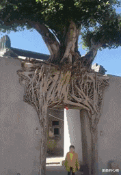 |谁说女人之间就会争风吃醋,这才是好闺蜜,完全不抢镜