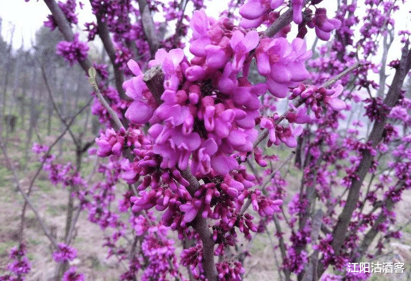 「生肖」3生肖福气多,6月28号,财运暴涨,事业腾飞得老天眷顾