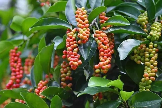 「疾病」肝脏有“三怕”，晨起后有3个表现，可能是肝脏在“报警”