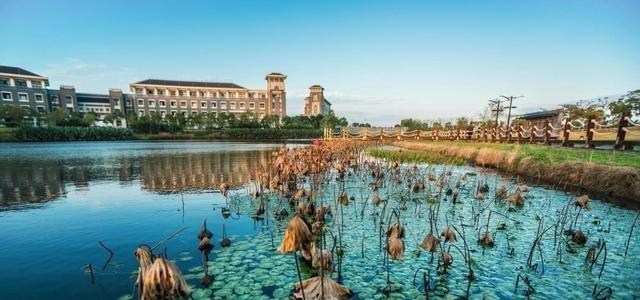 上海市|上海最好的三所“二本”大学,毕业生工资高待遇好,不输一般211