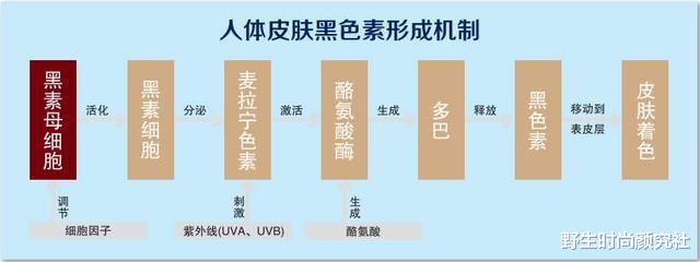 防晒|天生黑皮肤的女生，坚持这3个好习惯，逐渐皮肤会亮一个度