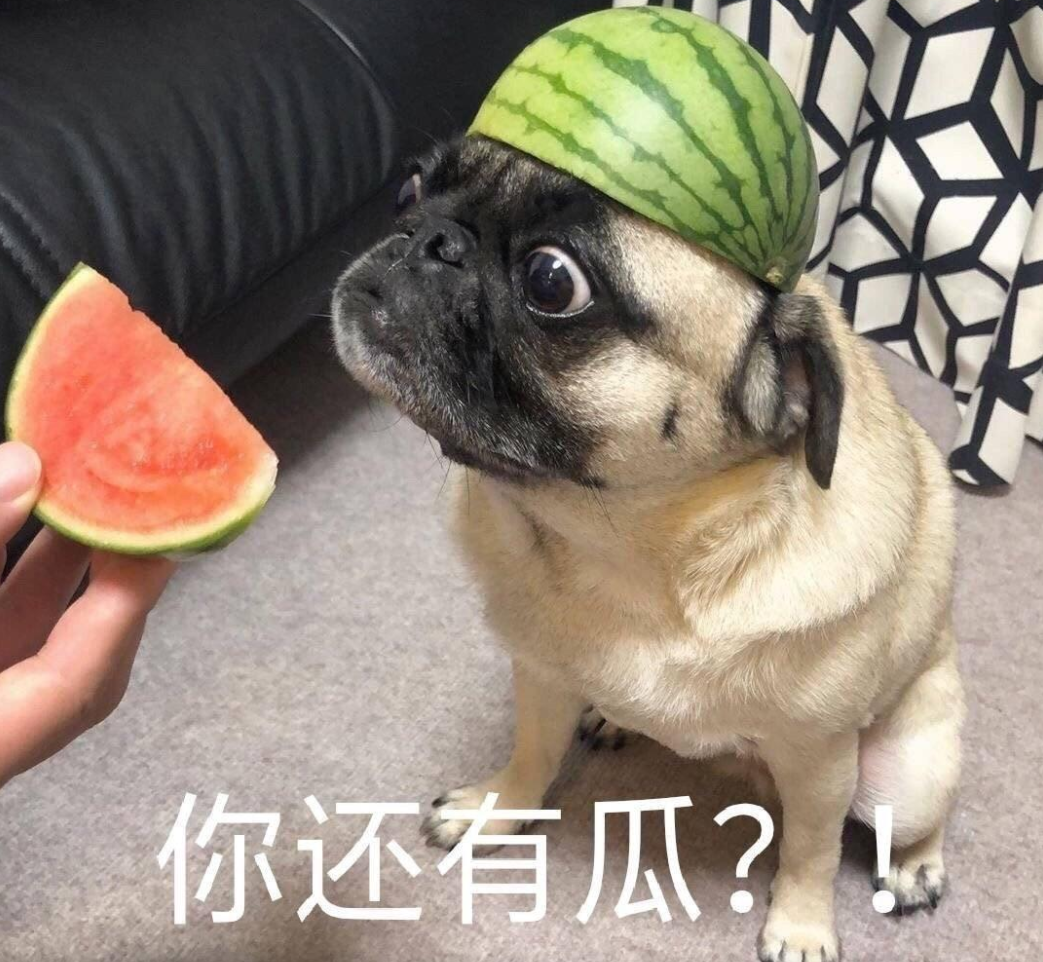 郑爽|当郑爽再次回应，尴尬的是，这个瓜“无从下口”