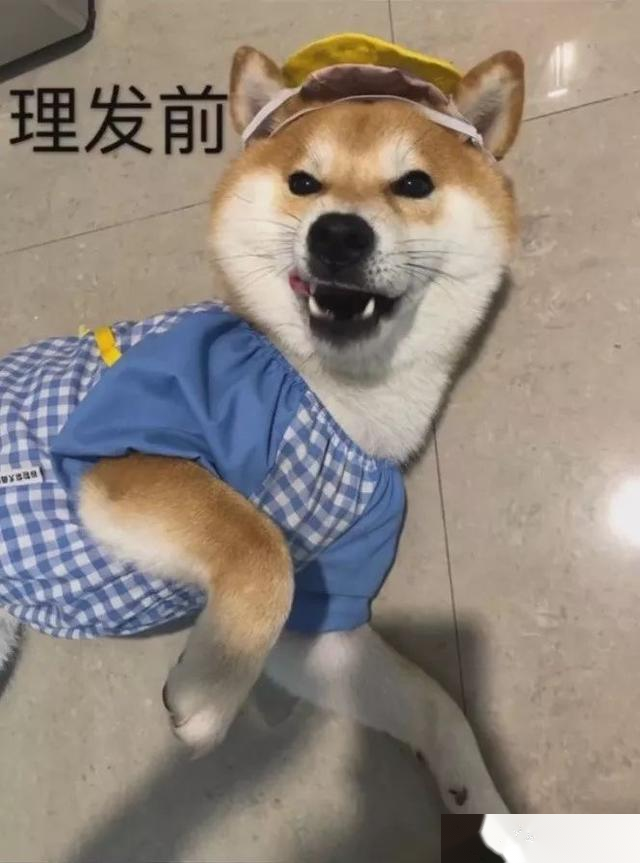 千万不要随便给别人的朋友圈点赞（上集）