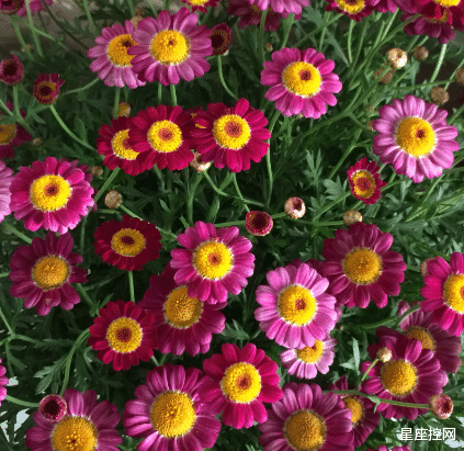 |哪些日子出生的人，家庭没有背景也没有资源，靠自己力量白手起家