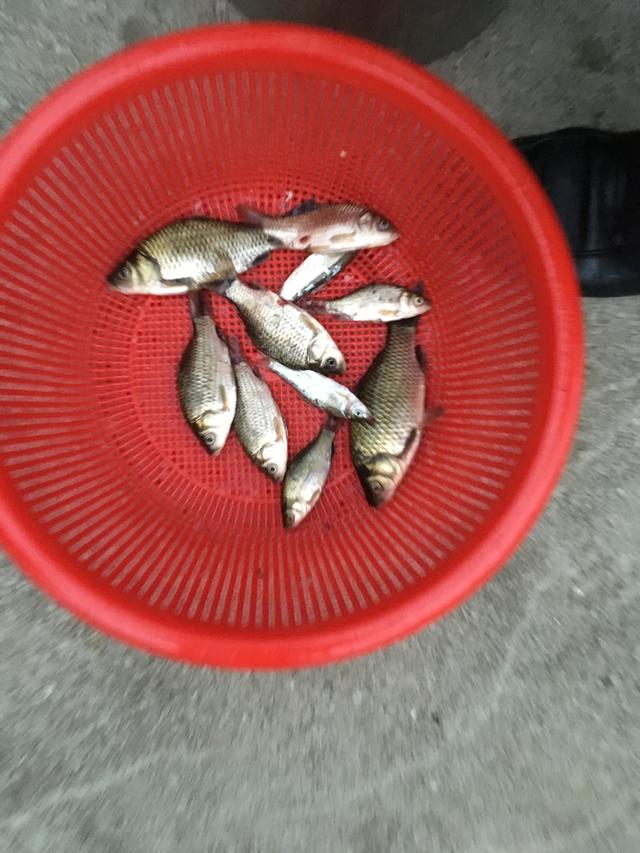 |望大V能够分享一下|真实经历分享#钓鱼人#职业病之香虎手治疗方案