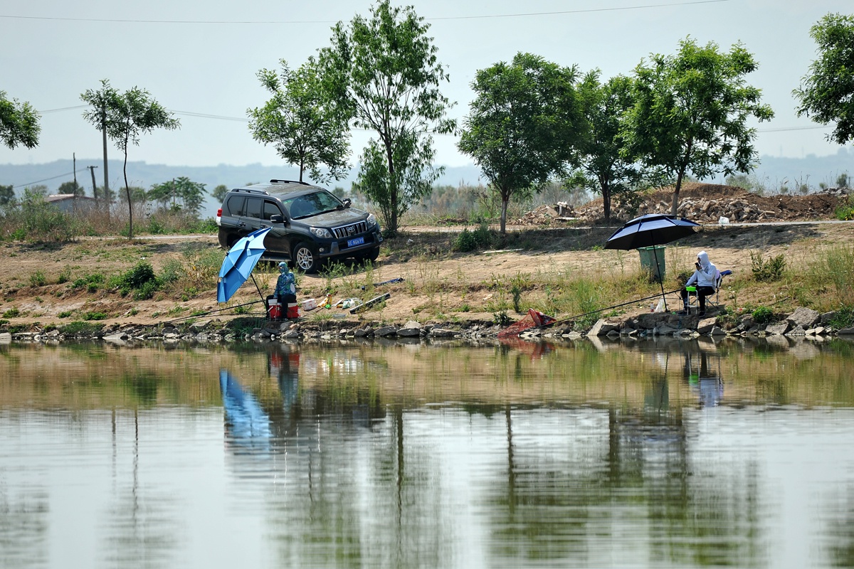 『山西省』钓友五一假期垂钓黑坑，钓费掏了100元，一上午却只上钩一条